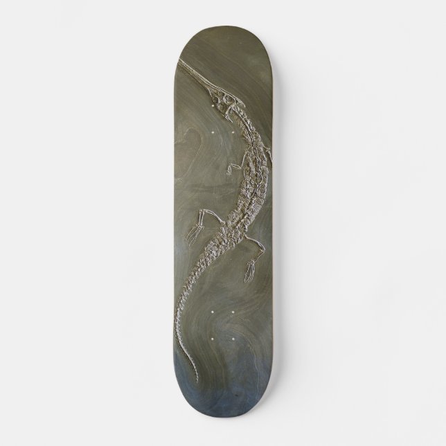 Saltwater crocodile Fossil Steneosaurus bollensis Skateboard (Front)