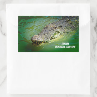 Saltwater Crocodile from Darwin Rectangular Sticker