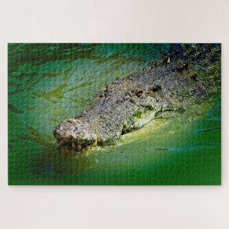 Saltwater Crocodile in Swampy waters Jigsaw Puzzle