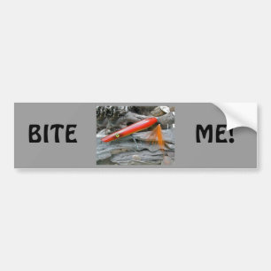 Saltwater Lure Popper Firebird Coordinating Items Bumper Sticker