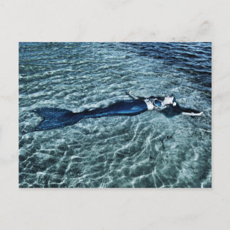 Saltwater Mermaid Postcard
