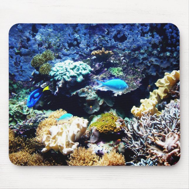 Saltwater Tank mousepad 1 (Front)
