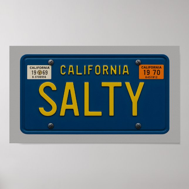 Salty - Retro 1969 California License Plate Art Poster (Front)