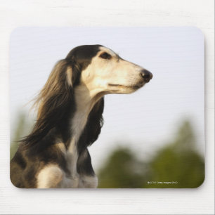 Saluki 2 mouse pad