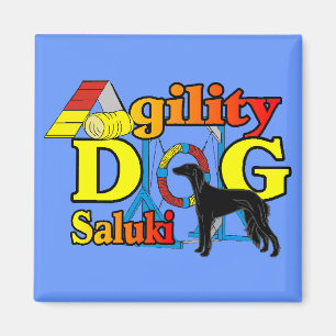 Saluki Agility Gifts Magnet