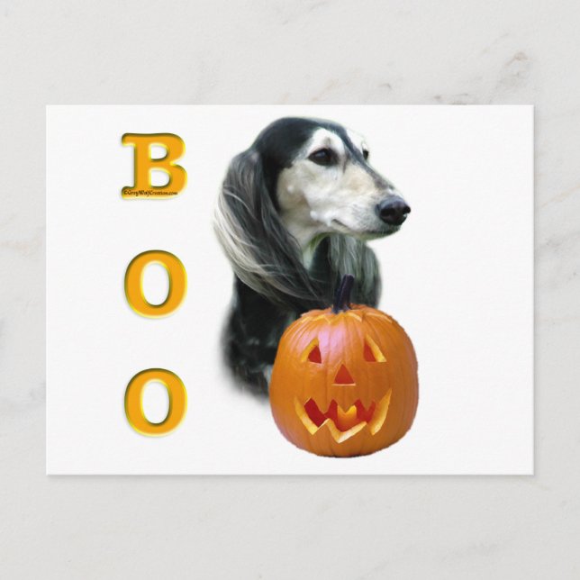 Saluki Boo Postcard (Front)