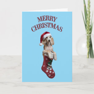 Saluki Christmas Stocking Card