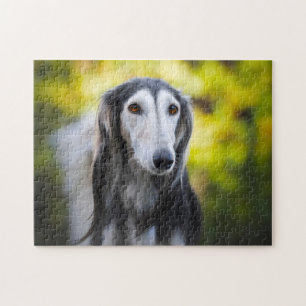 Saluki Dog Jigsaws. Jigsaw Puzzle