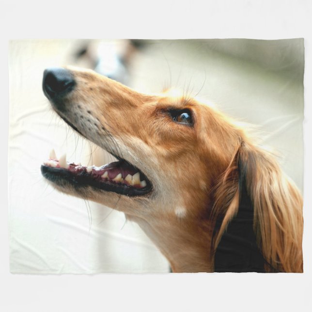 SALUKI FLEECE BLANKET (Front (Horizontal))