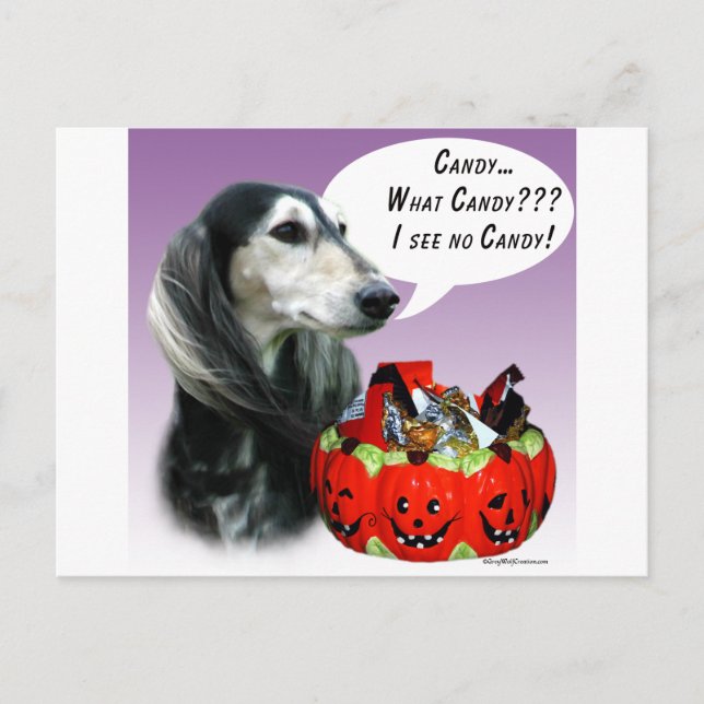 Saluki Halloween Candy Postcard (Front)