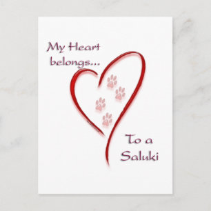 Saluki Heart Belongs Postcard