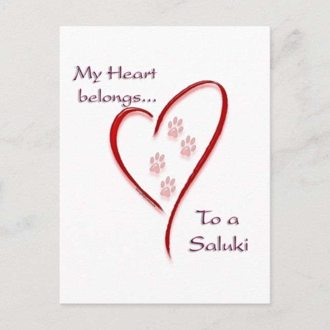Saluki Heart Belongs Postcard (Front)