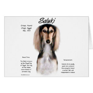 Saluki History Design