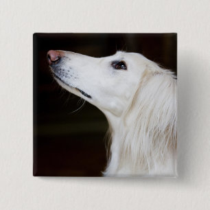 Saluki Looking Up 15 Cm Square Badge
