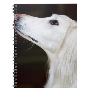 Saluki Looking Up Notebook