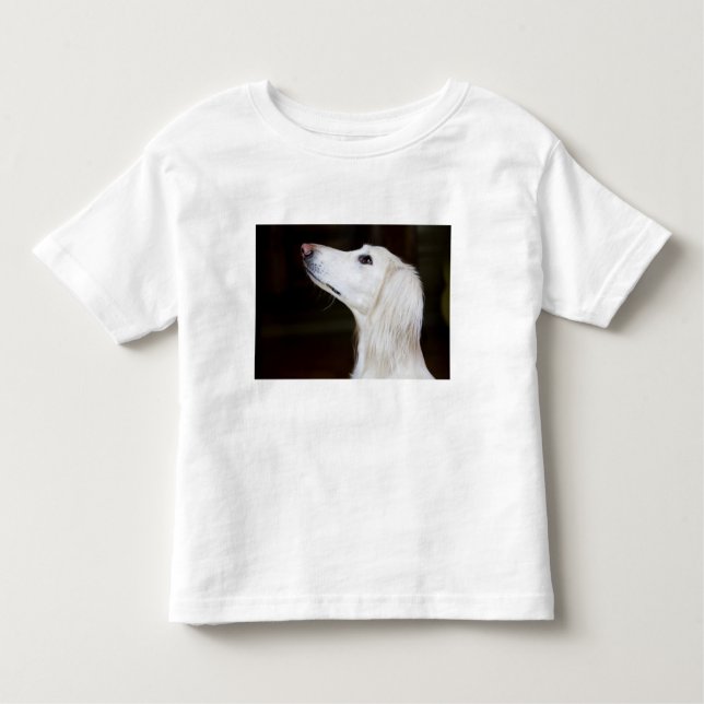 Saluki Looking Up Toddler T-Shirt (Front)