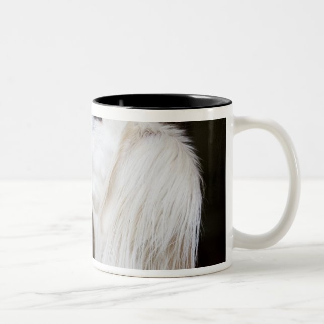 Saluki Looking Up Two-Tone Coffee Mug (Right)