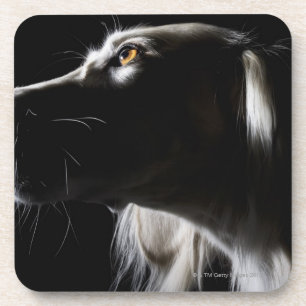 Saluki, portrait coaster