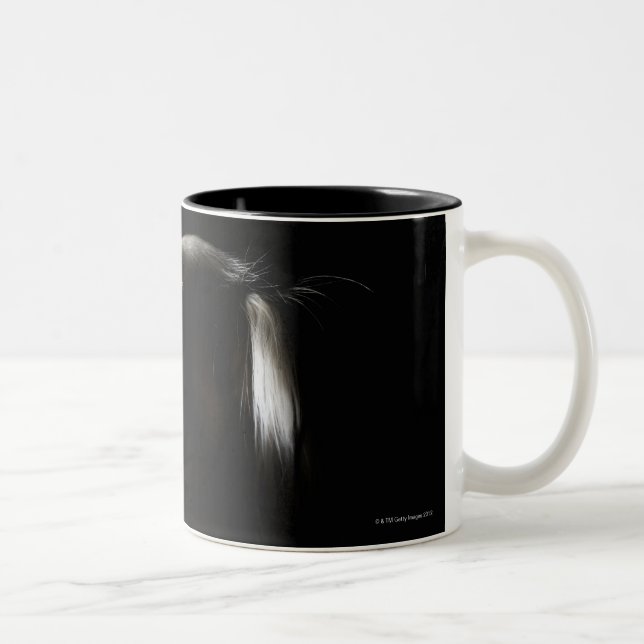 Saluki, portrait Two-Tone coffee mug (Right)