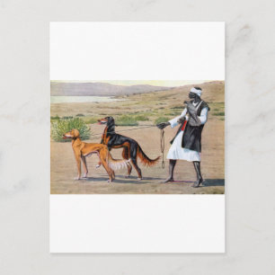 saluki postcard