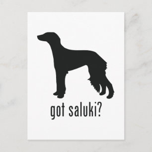 Saluki Postcard