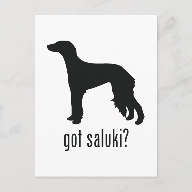 Saluki Postcard (Front)
