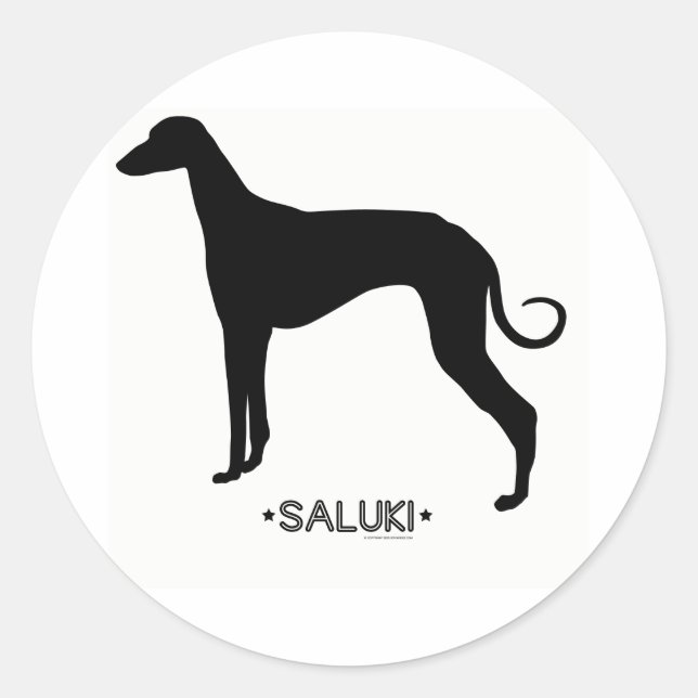 Saluki Sticker (Front)