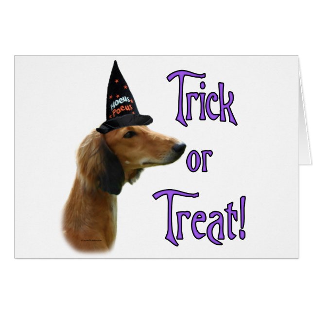 Saluki Trick (Front Horizontal)