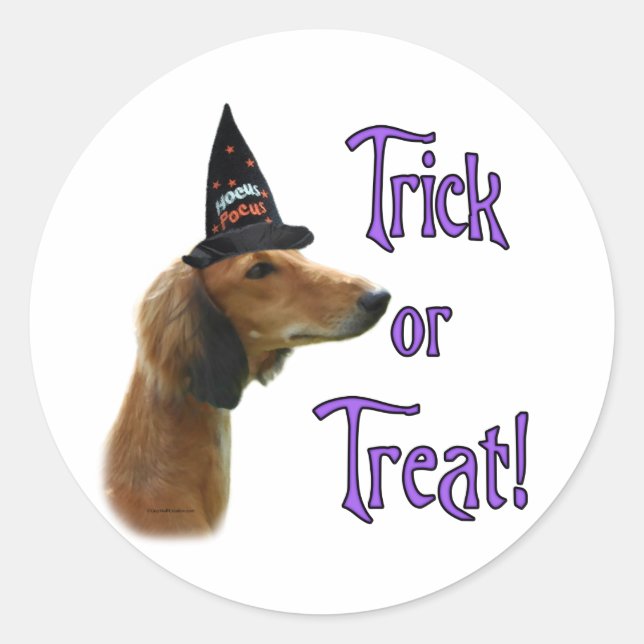 Saluki Trick Classic Round Sticker (Front)