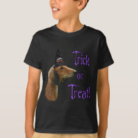 Saluki Trick