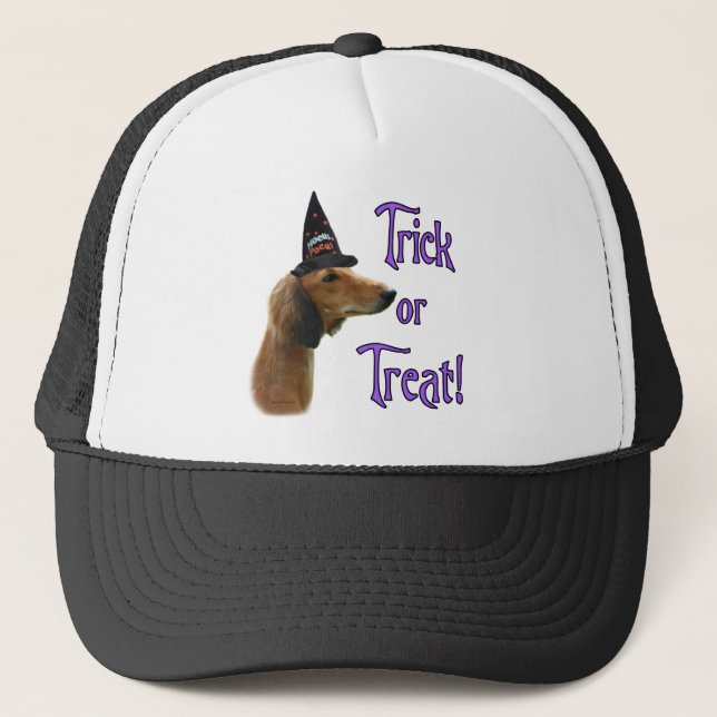 Saluki Trick Trucker Hat (Front)