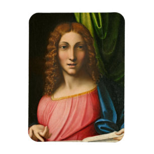 Salvator Mundi, c. 1515 (oil on panel) Magnet