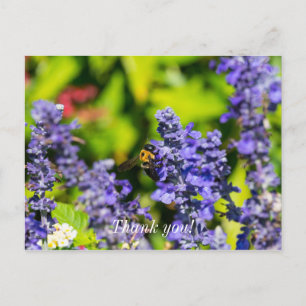 Salvia With Bumblebee Thank You Postcard