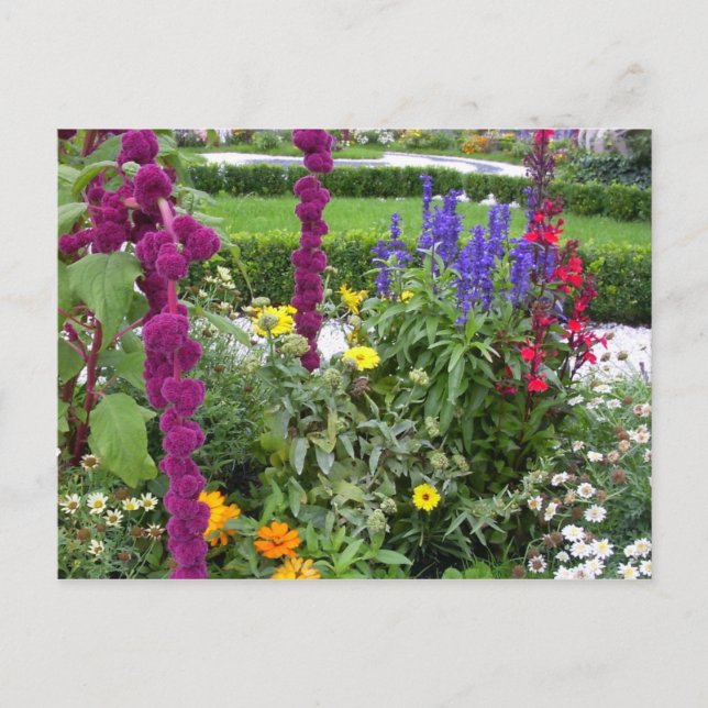 Salzburg Gardens, Austria Postcard (Front)
