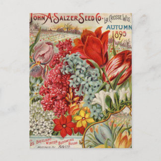 Salzer Flower Seeds Postcard