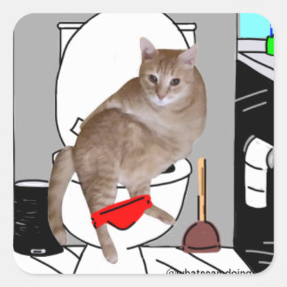 Sam Le Cat Privacy Please Stickers