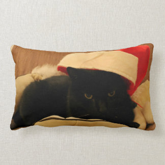 Sam the Cat Christmas Edition Pillow