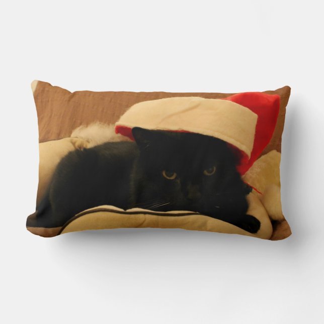 Sam the Cat Christmas Edition Pillow (Front)