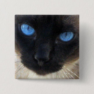 Sam the Siamese cat 15 Cm Square Badge