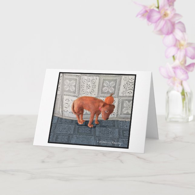 Sam with a Pumpkin Card (Orchid)