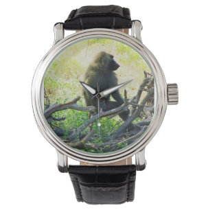 Samburu Baboon Watch