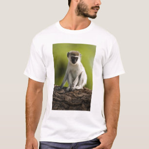 Samburu Game Reserve, Kenya, Vervet Monkey, T-Shirt