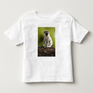 Samburu Game Reserve, Kenya, Vervet Monkey, Toddler T-Shirt