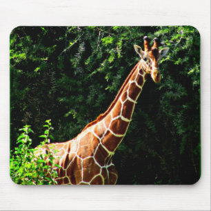 Samburu Giraffe Mouse Pad