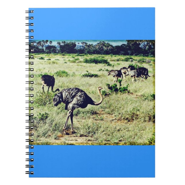 Samburu Ostriches Notebook (Front)