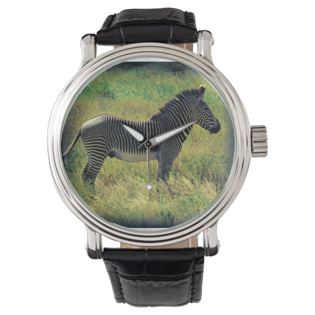 Samburu Zebra Watch (Front)