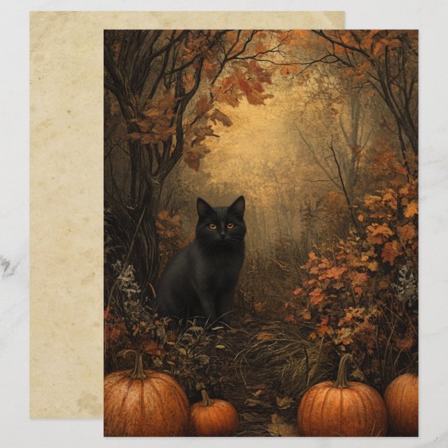 Samhain Black Cat Scrapbook Paper (Front/Back)