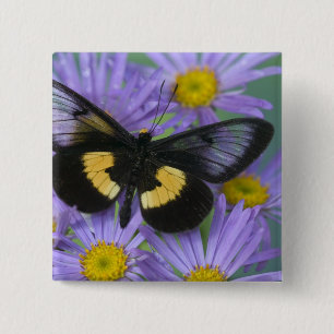 Sammamish Washington Photograph of Butterfly 15 Cm Square Badge