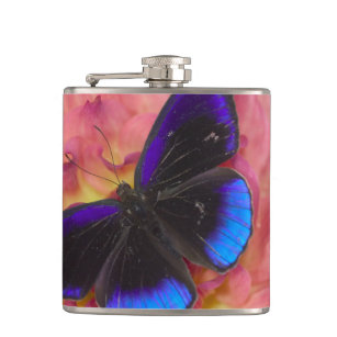 Sammamish Washington Photograph of Butterfly 18 Hip Flask