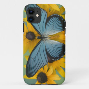 Sammamish Washington Photograph of Butterfly iPhone 11 Case